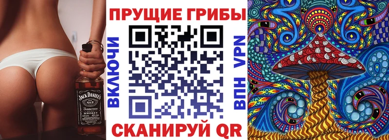 маркетплейс телеграм  Камызяк  Галлюциногенные грибы MAGIC MUSHROOMS 